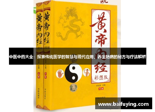 中医中药大全：探索传统医学的智慧与现代应用，养生防病的秘方与疗法解析