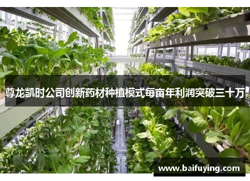 尊龙凯时公司创新药材种植模式每亩年利润突破三十万